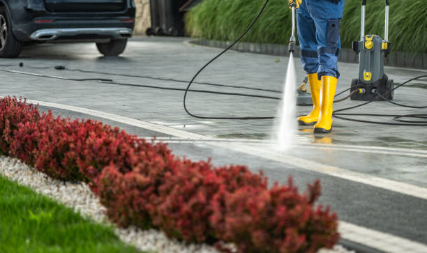 Best Parking Lot Cleaning in Rosemont, PA